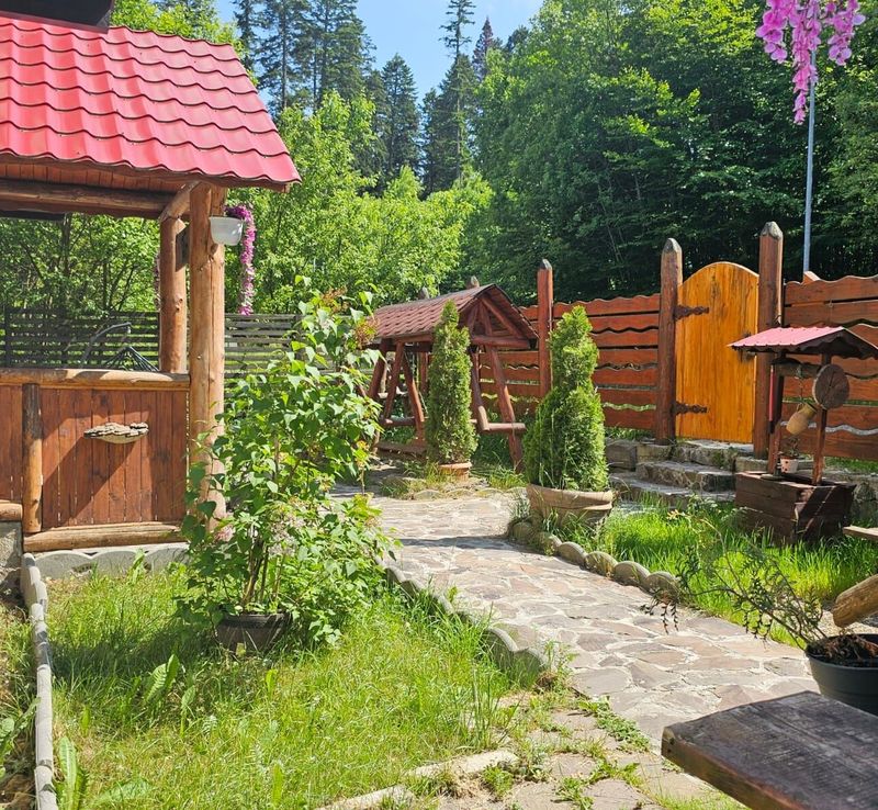 Vila Fascination Predeal - foto 1