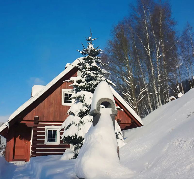 Apartmán Na Zlatníku Zlatá Olešnice - foto 1
