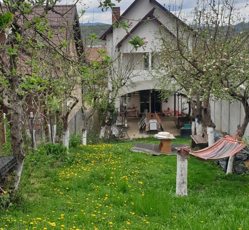 Vila Yanis Călimănești - foto 1