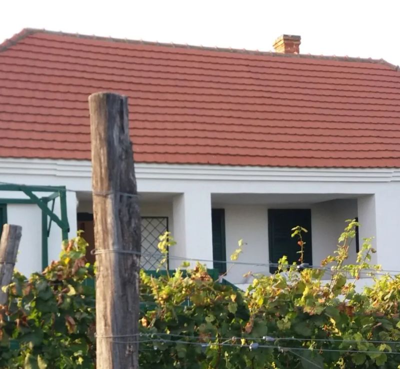Szent Márton Vendégház Somló Doba - foto 1