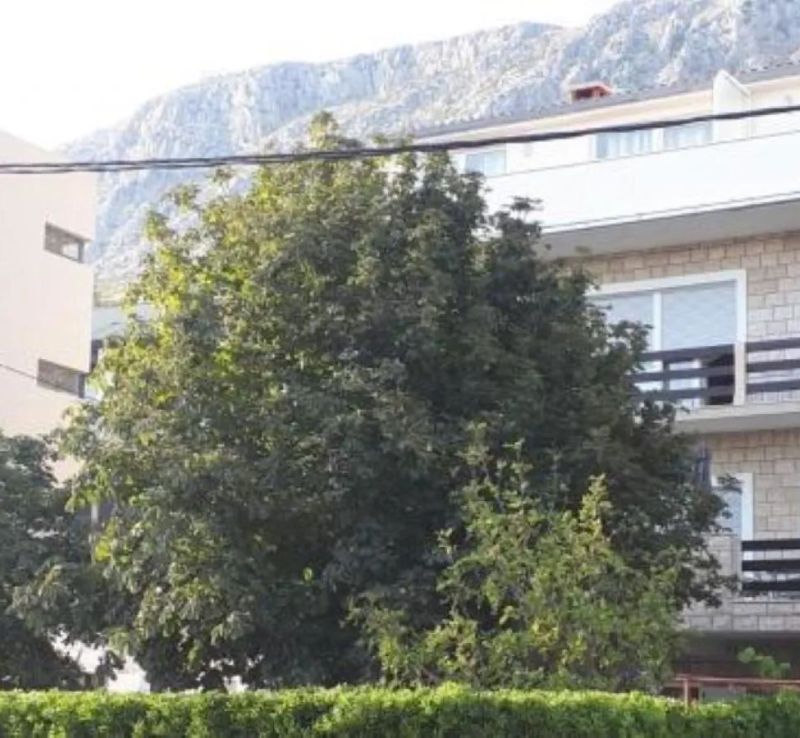Apartmani Škobalj Duće - foto 1