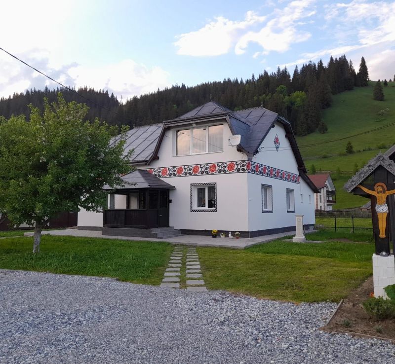 Casa Dumitru si Elena Ciocănești - foto 1