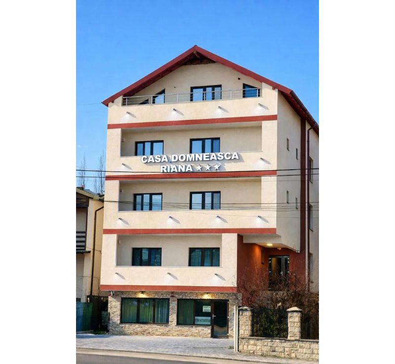 Pensiunea Casa Domneasca Riana Pitești - foto 1