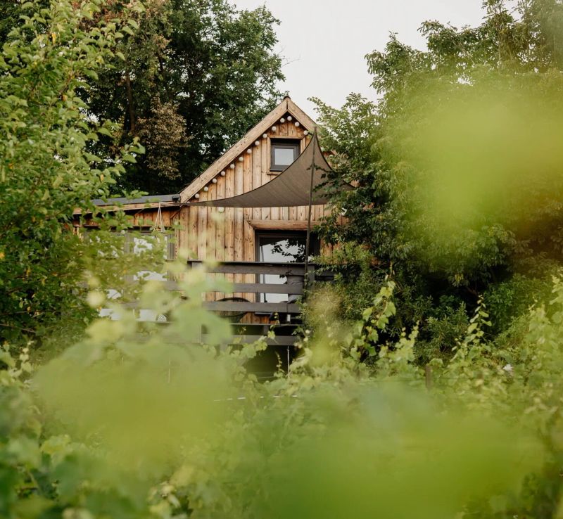 Casa Quint Vendégház Csákberény - foto 1