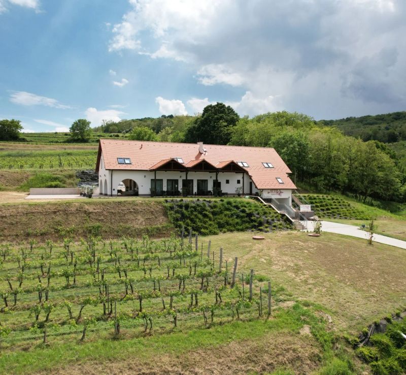 Attila Birtok Szekszárd - foto 1