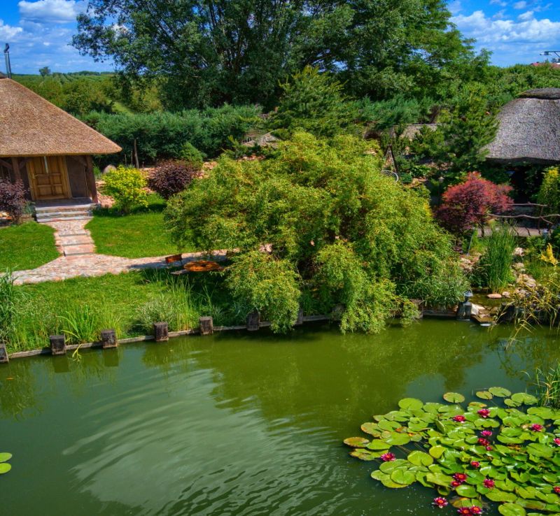 Agroturystyka Mirabelkowe Zacisze - foto 1