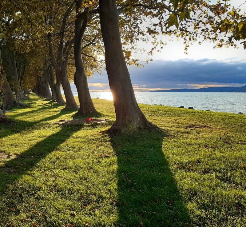 BB-Ház Balatonboglár - foto 1