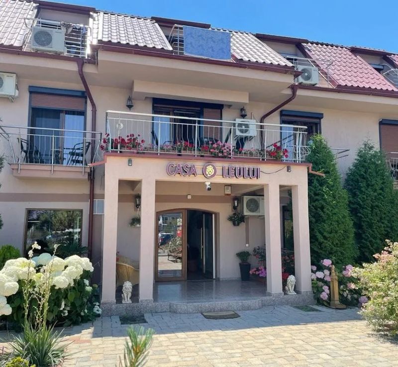 Ametist Casa Leului Mamaia Nord - foto 1