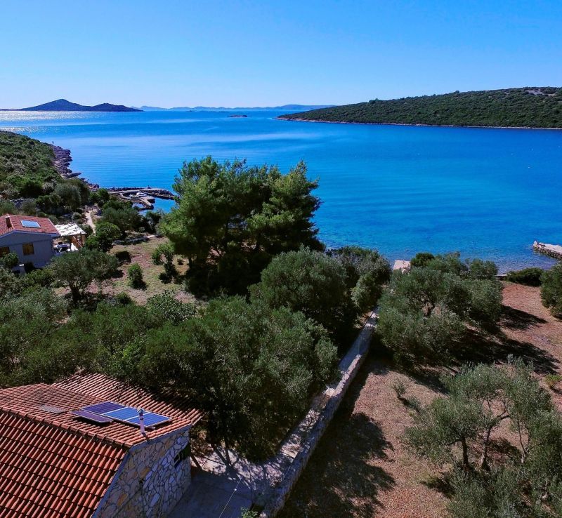 House Olive Tree Tkon - foto 1