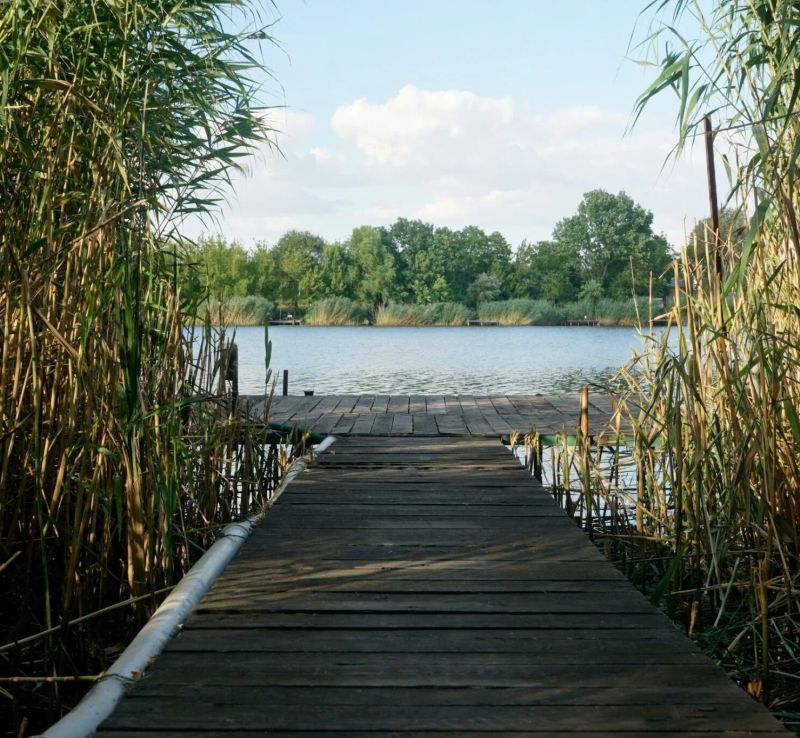 Kis Tisza Horgász Vendégház Tiszaug - foto 1