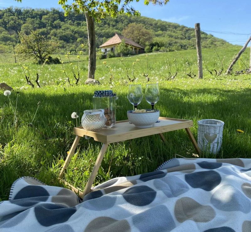 Somlói Provence - foto 1