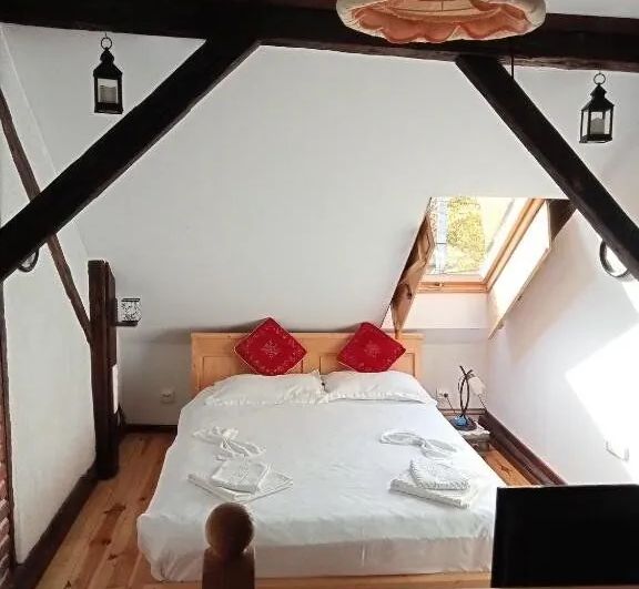 Residence Gölsch 161 Sânpetru - foto 1