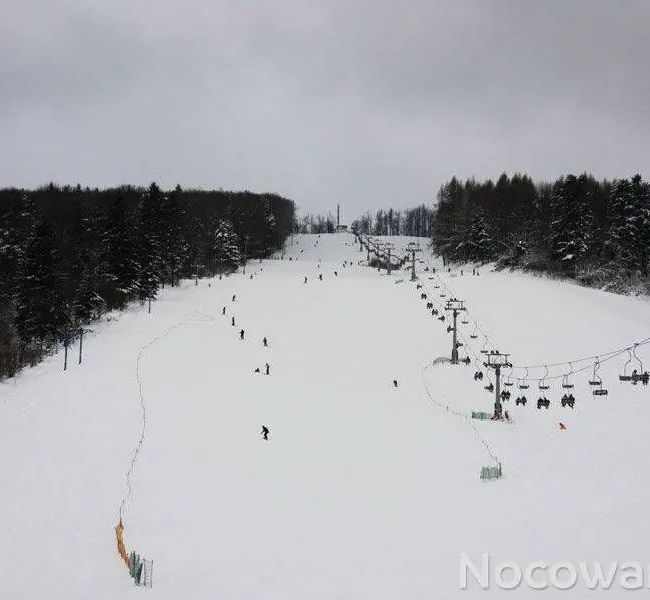Villa Neve Ustrzyki Dolne - foto 1