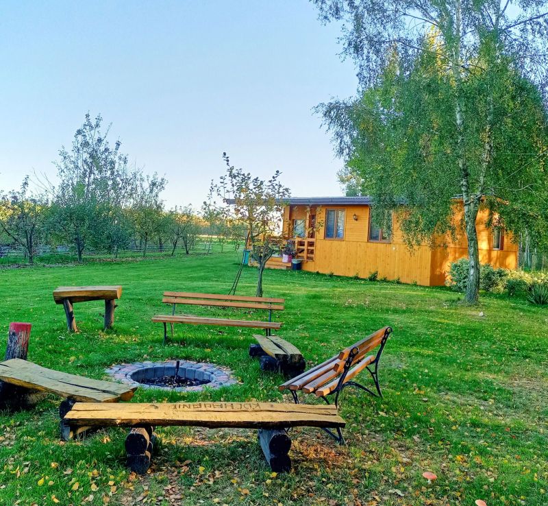 Brzozowy Gaj Orzechów Kolonia - foto 1