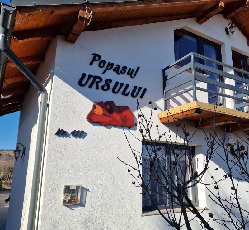Popasul Ursului Zărnești - foto 1
