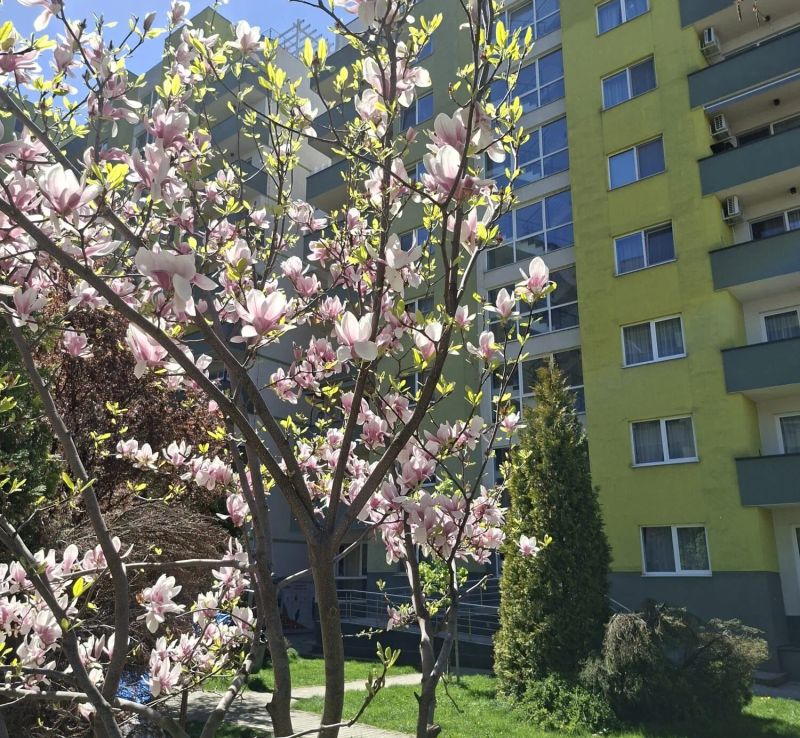 Apartament C&C Brașov - foto 1