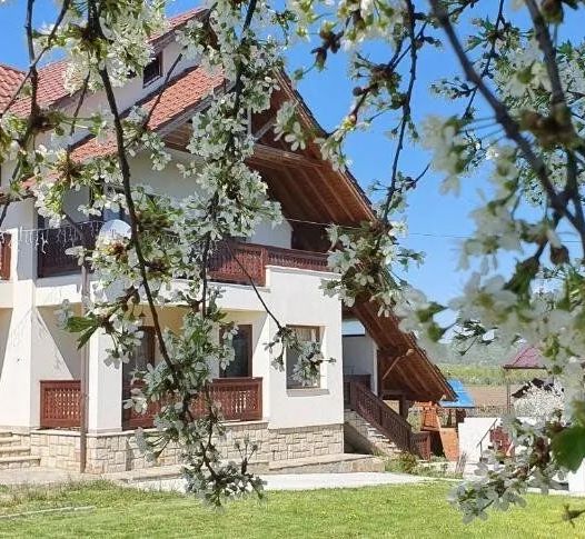 Pensiunea Zestrea Bunicilor Bodești - foto 1