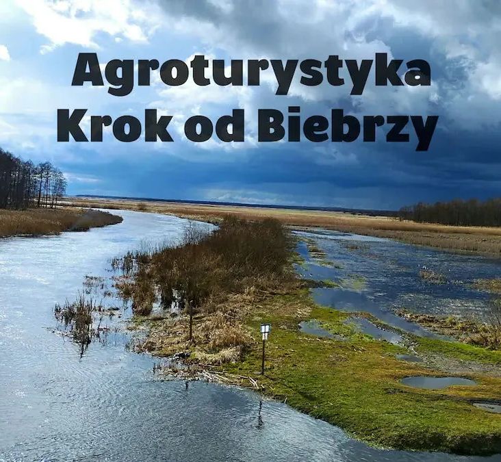 Agroturystyka KROK od Biebrzy Dolistowo - foto 1