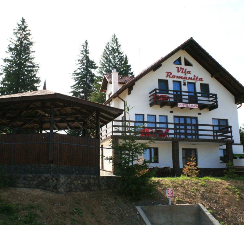 Vila Romanița Păltiniș - foto 1