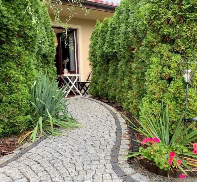 Pokoje Willa Zdrój Kudowa-Zdrój - foto 1