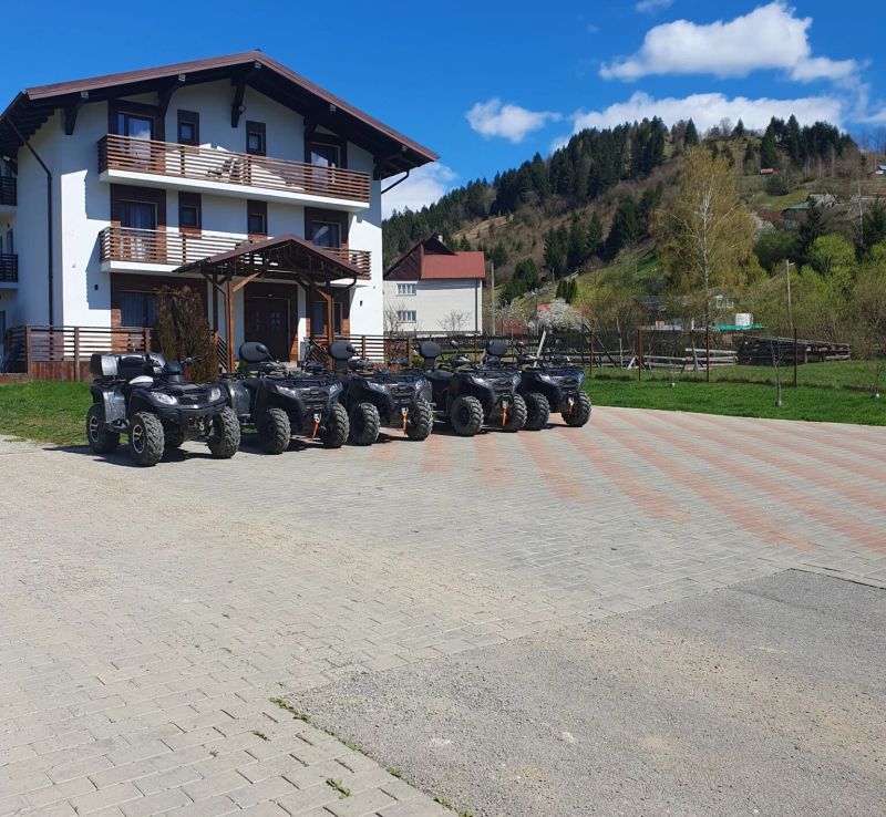 Pensiunea ACASA LA VLADUȚ Borşa - foto 1