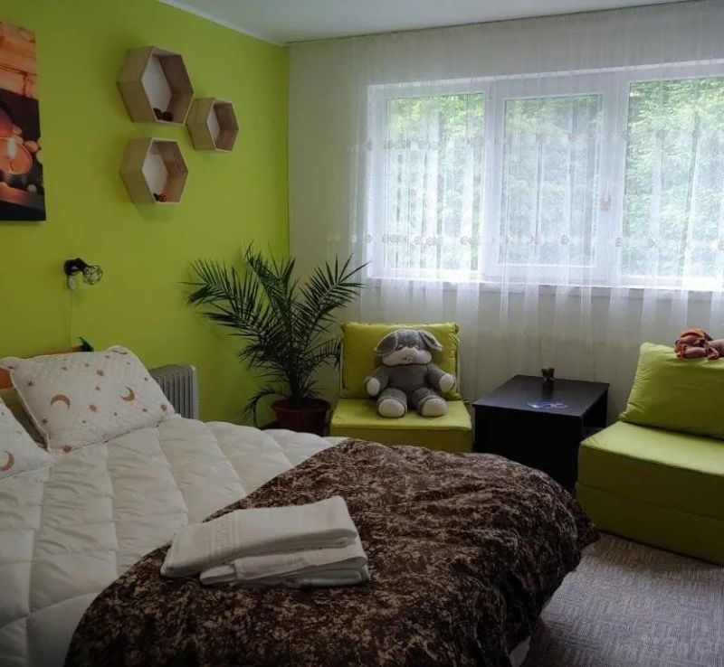 Casa Elena Brădetu - foto 1