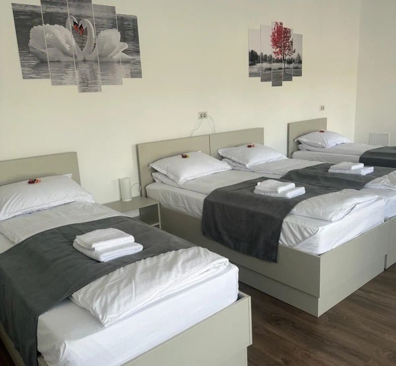 Hostel Adriana Touristik Arad - foto 1