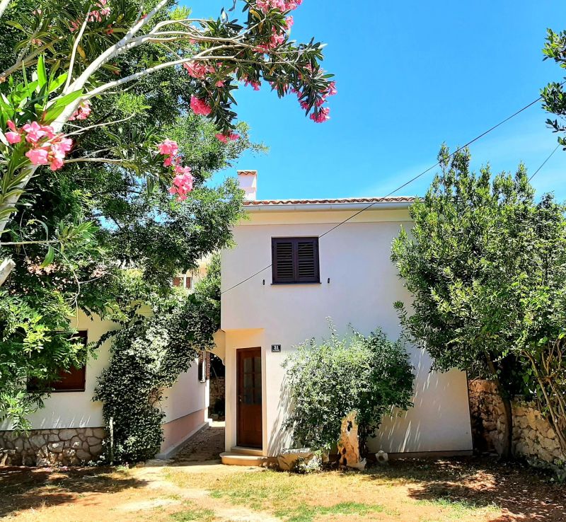 House Suzi Novalja - foto 1