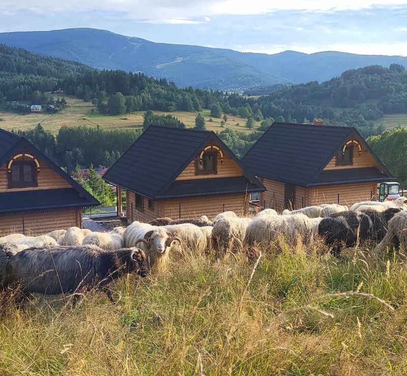 Chaty pod Pilskiem Krzyżówki - foto 1