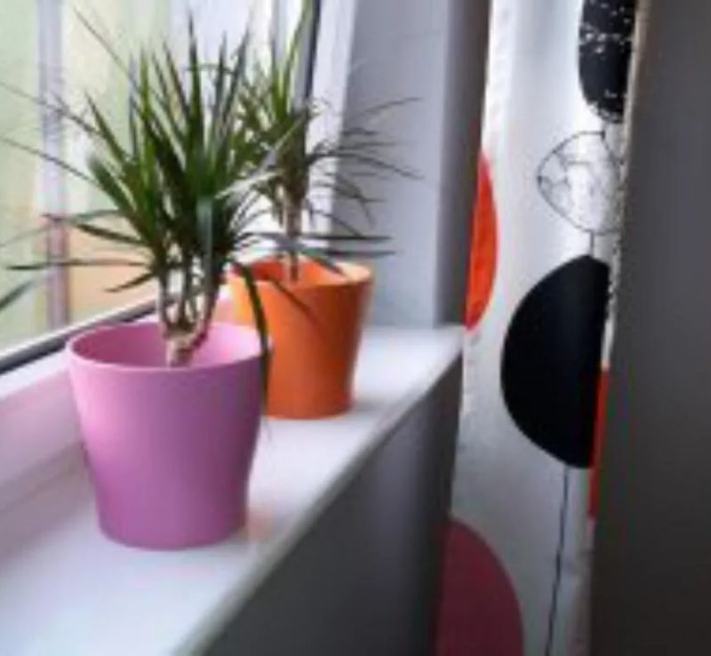 Apartamenty Sedinum - Brama Portowa - foto 1