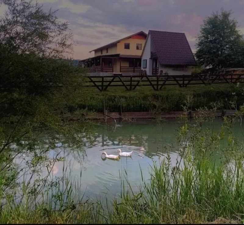 Căsuța de la Râu Râșca - foto 1