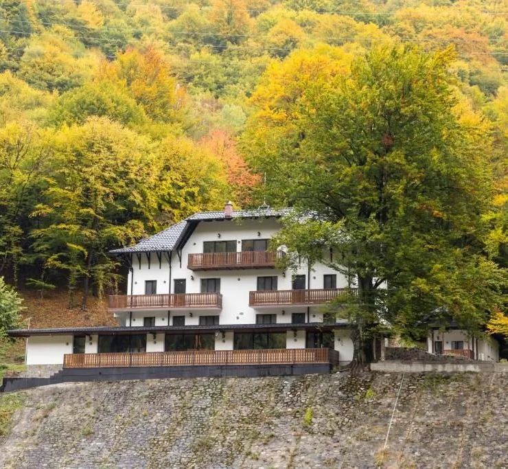 Pensiunea Poiana Mucenicului Arefu - foto 1