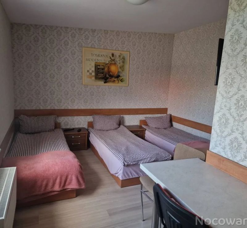 Noclegi u Ali Wałbrzych - foto 1