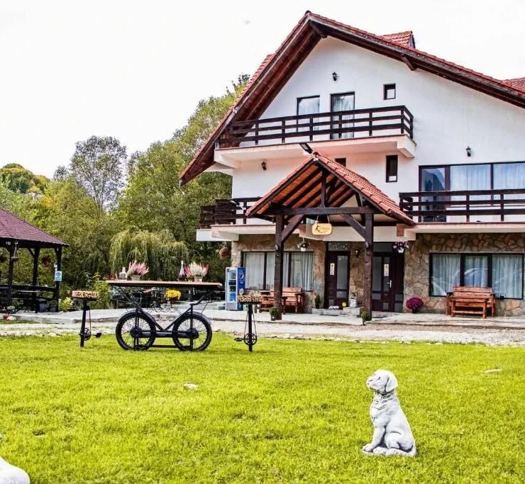 Vila Vibrant Bran - foto 1