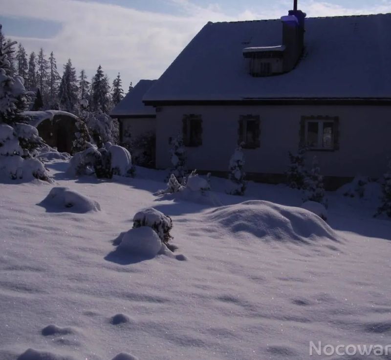 Ściborówka - foto 1