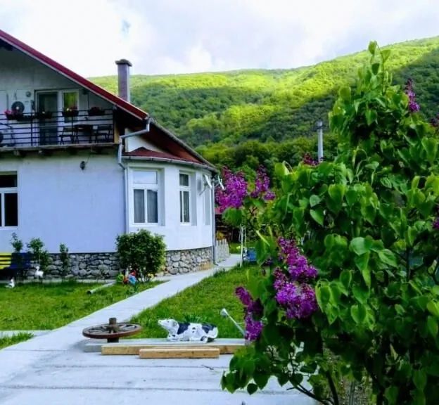 Vila di Pau Băile Herculane - foto 1