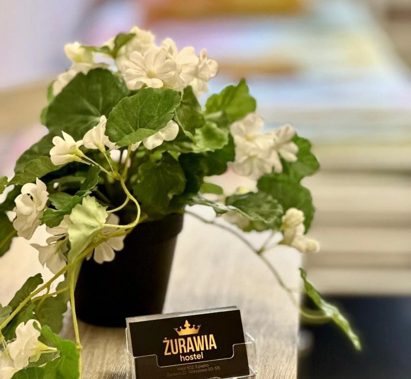 Hostel Żurawia Warszawa - foto 1