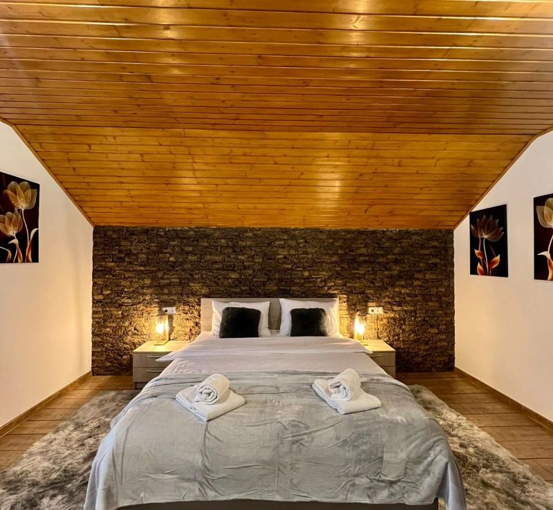 Casa Iris Mogoșa - foto 1