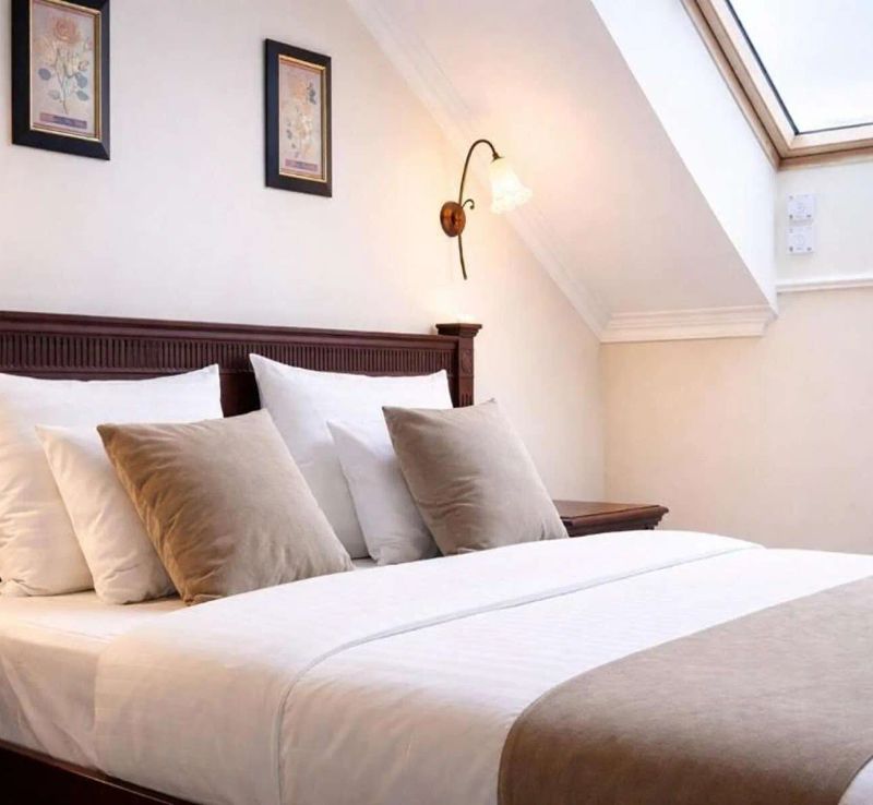 Hotel Iosefin Residence Timișoara - foto 1