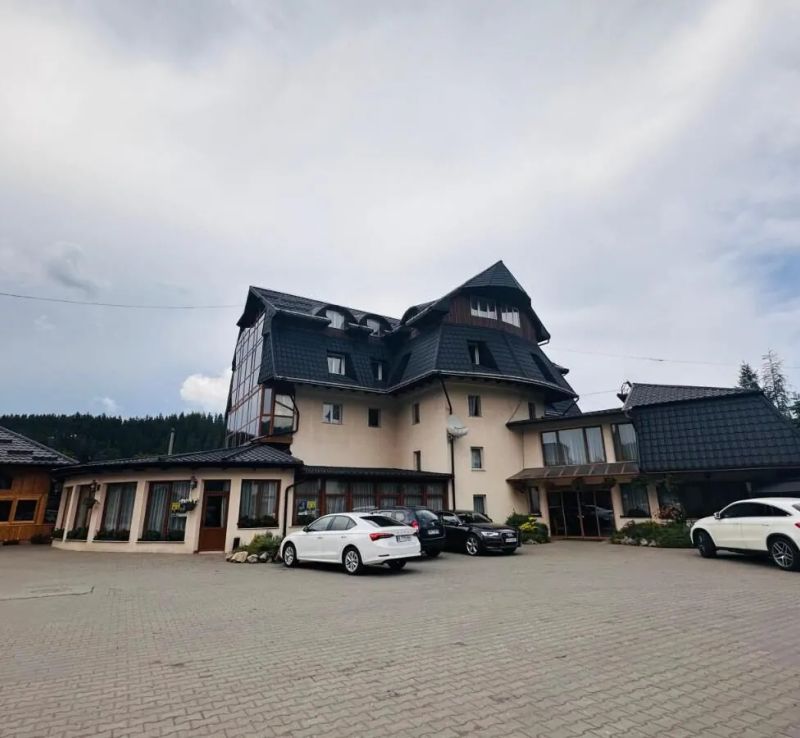 Hotel Erene Câmpulung Moldovenesc - foto 1