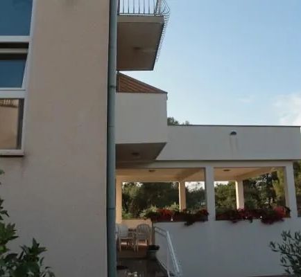 Apartments Radmila Brodarica - foto 1