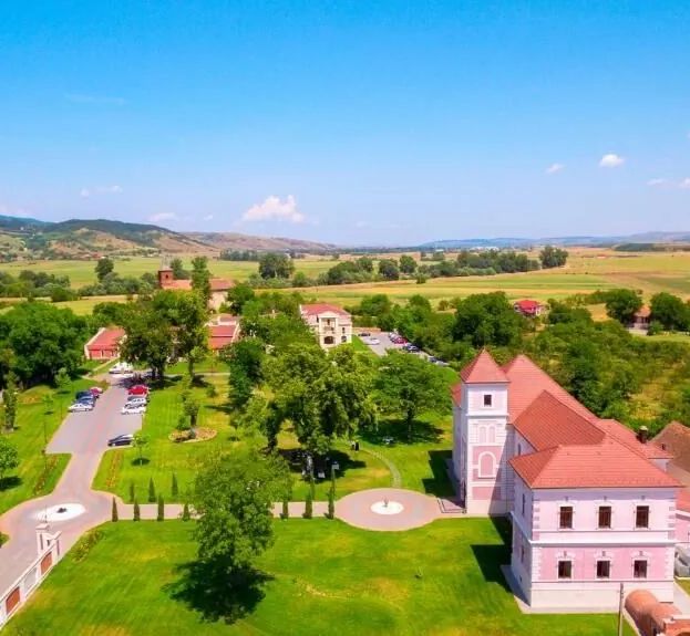 Hotel Cardinal-Domeniile Martinutzi Vințu de Jos - foto 1