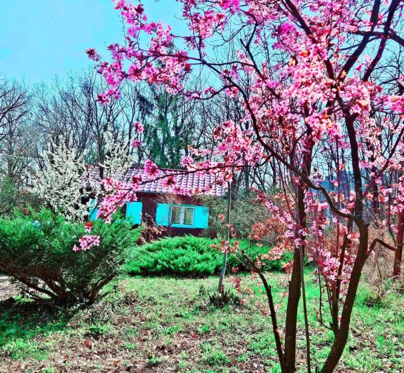 Meredély Kunyhószállás Leányfalu - foto 1