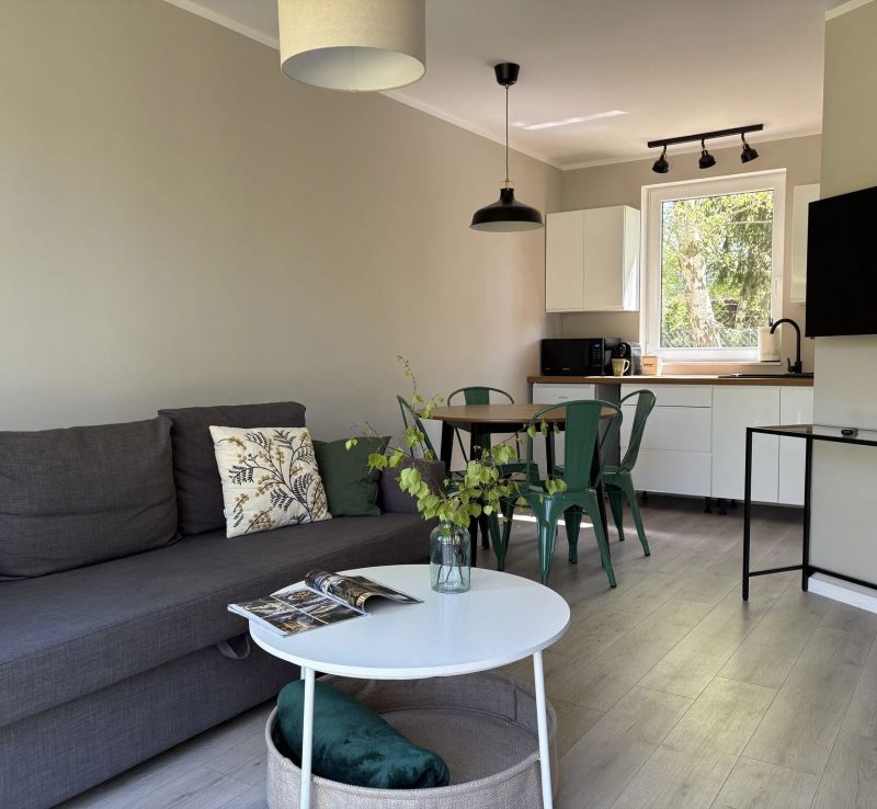 Dzika Brzoza Apartamenty Dwupoziomowe Rusinowo - foto 1