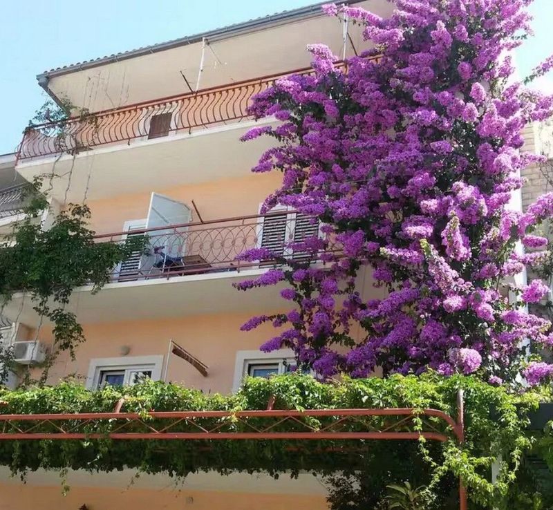 Apartments With Parking Space Makarska - 24071 - foto 1