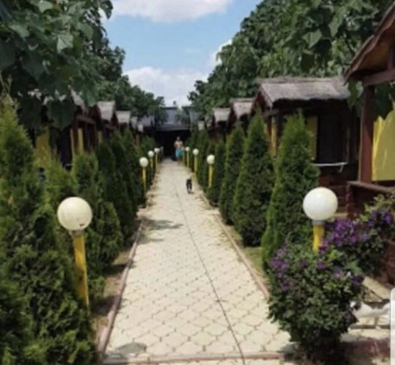 Cazare Balliu Corbu - foto 1