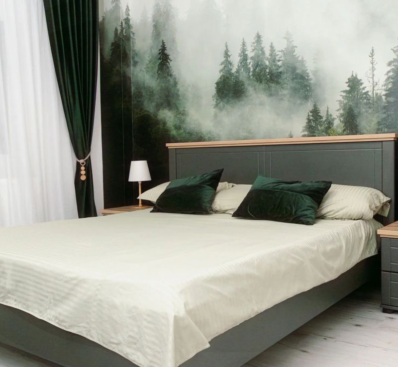 IBA Apartment Buşteni - foto 1