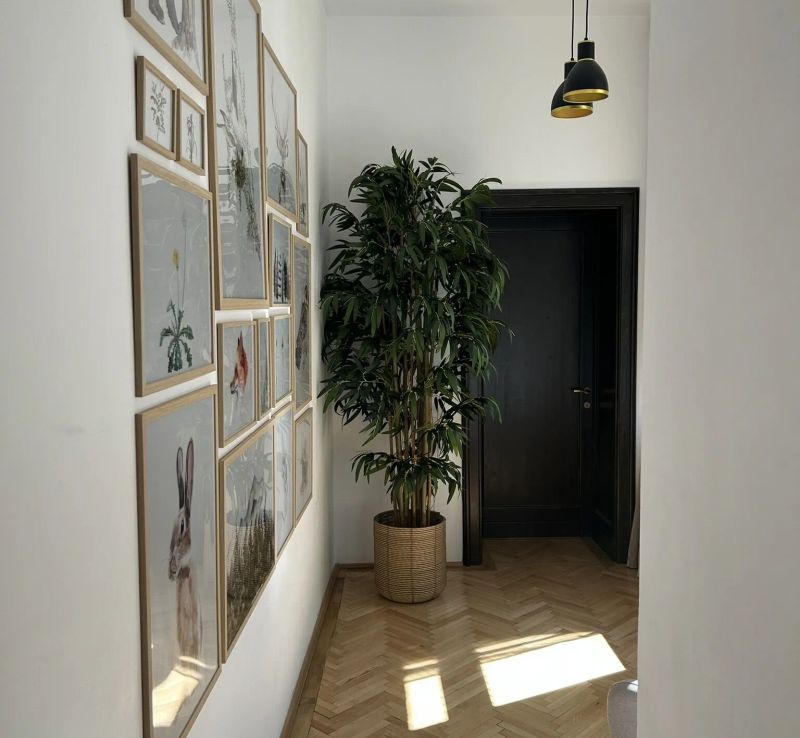 Apartament Nature Inspired Stay in Piata Sfatului Brașov - foto 1