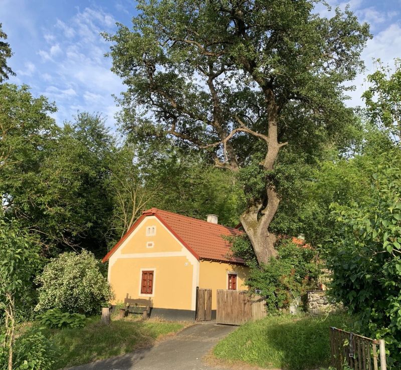 Kapolcsi Kecskekő Vendégház - foto 1