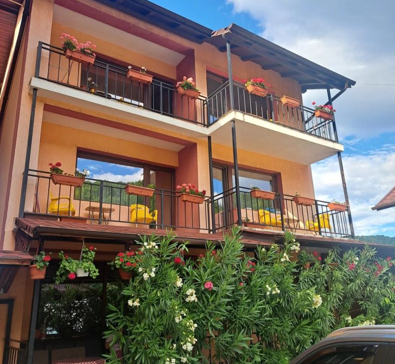 Vila Rozmarin Băile Olăneşti - foto 1